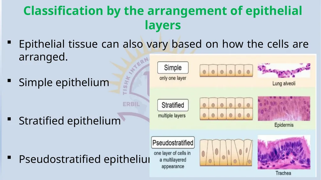 Lecturer name: Dr. Jibril H. Yusuf - slide 7 of 32