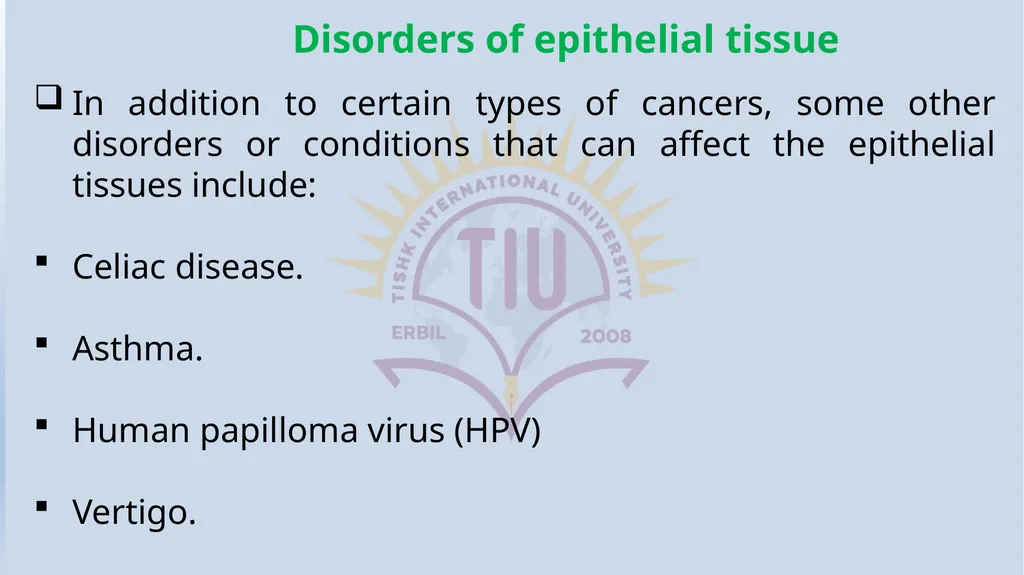 Lecturer name: Dr. Jibril H. Yusuf - slide 31 of 32