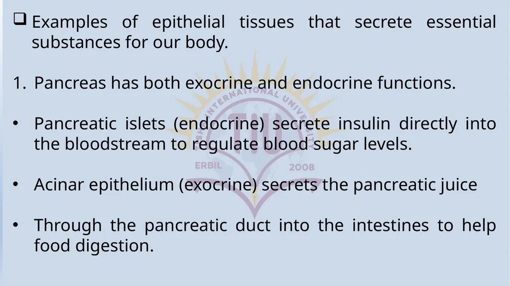 Lecturer name: Dr. Jibril H. Yusuf - slide 17 of 32