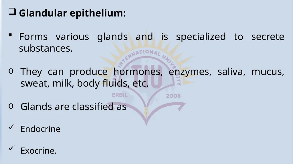 Lecturer name: Dr. Jibril H. Yusuf - slide 13 of 32