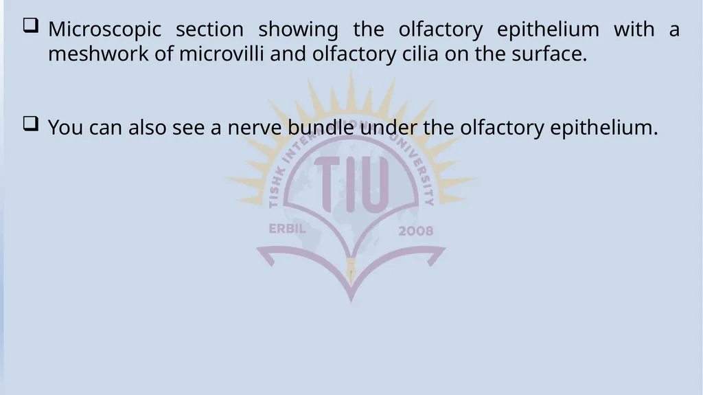 Lecturer name: Dr. Jibril H. Yusuf - slide 26 of 32