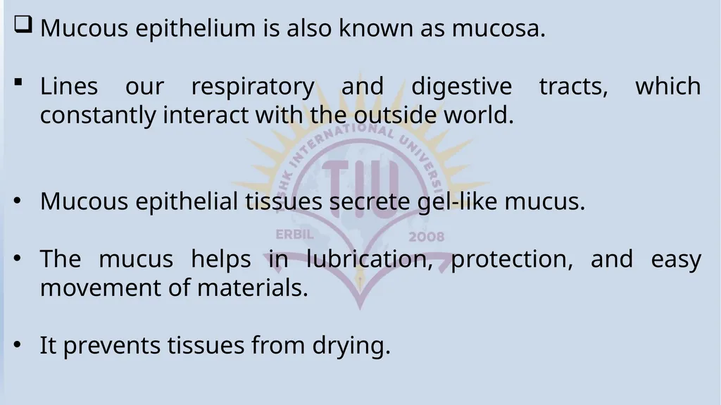 Lecturer name: Dr. Jibril H. Yusuf - slide 19 of 32