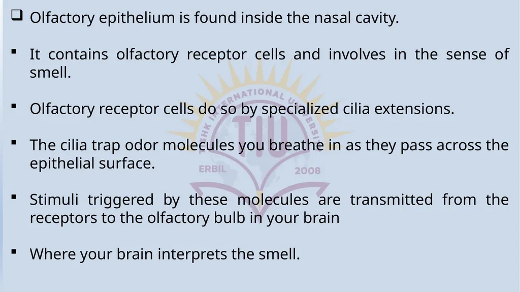 Lecturer name: Dr. Jibril H. Yusuf - slide 24 of 32
