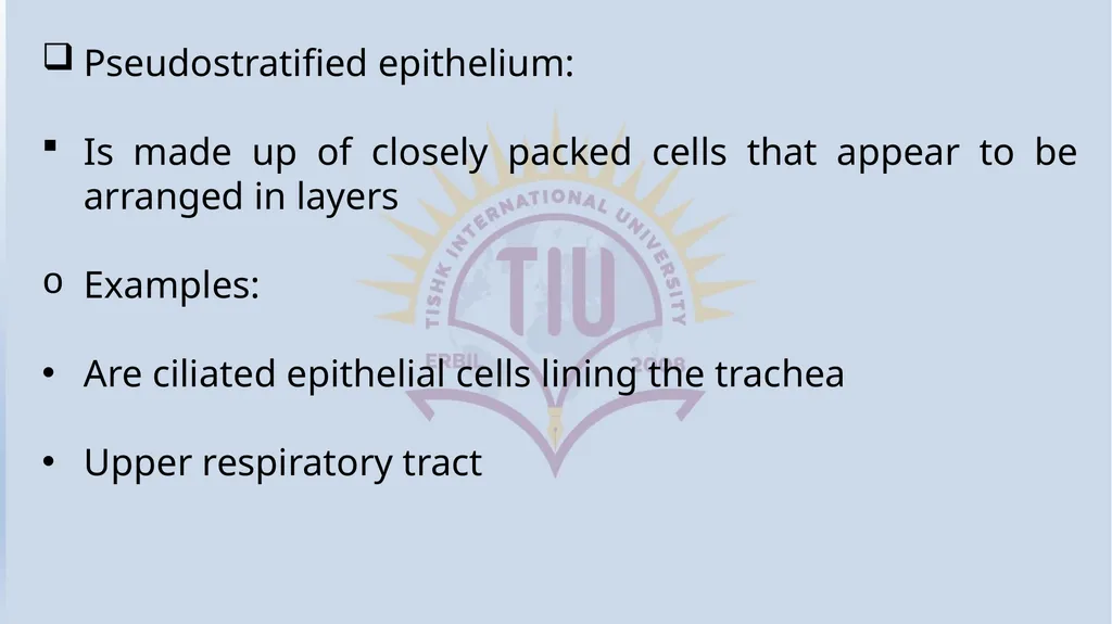 Lecturer name: Dr. Jibril H. Yusuf - slide 10 of 32