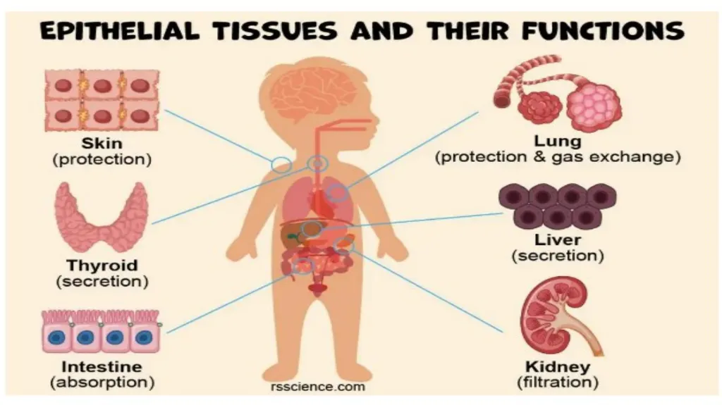 Lecturer name: Dr. Jibril H. Yusuf - slide 2 of 32