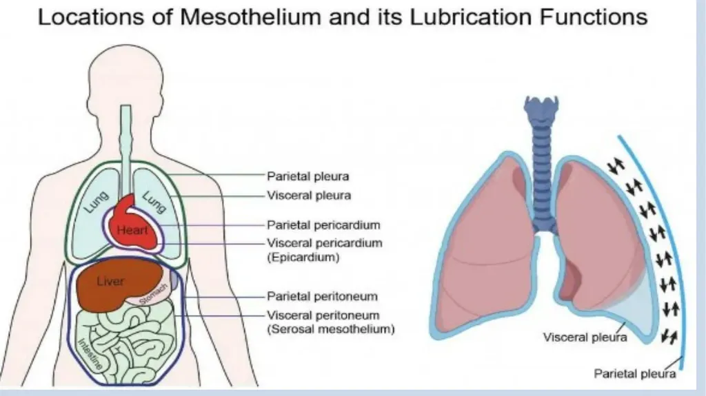 Lecturer name: Dr. Jibril H. Yusuf - slide 22 of 32