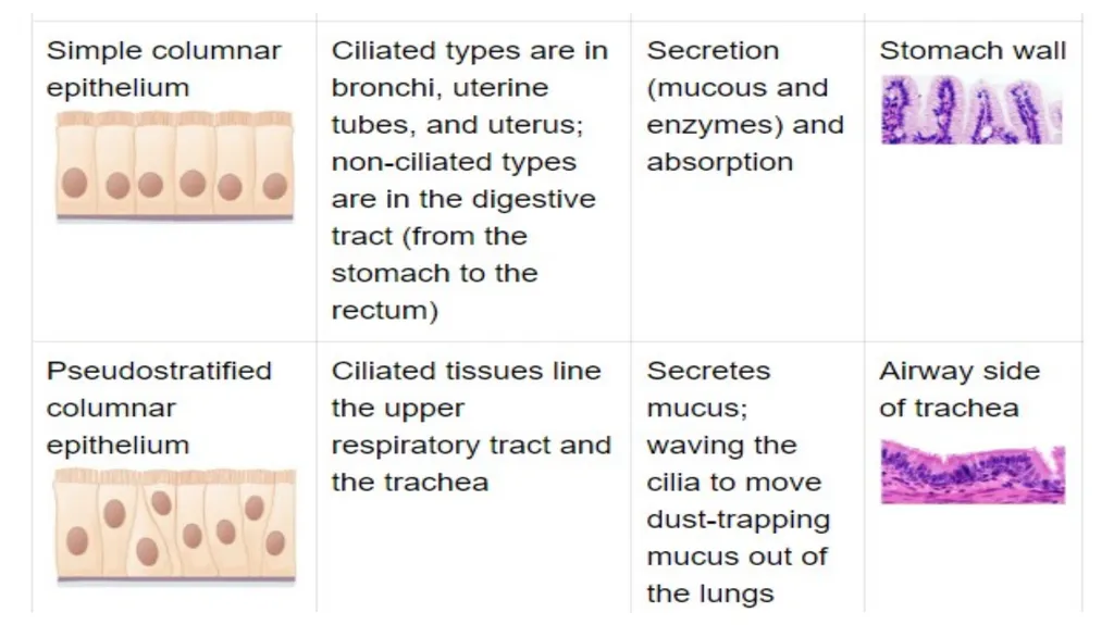Lecturer name: Dr. Jibril H. Yusuf - slide 28 of 32