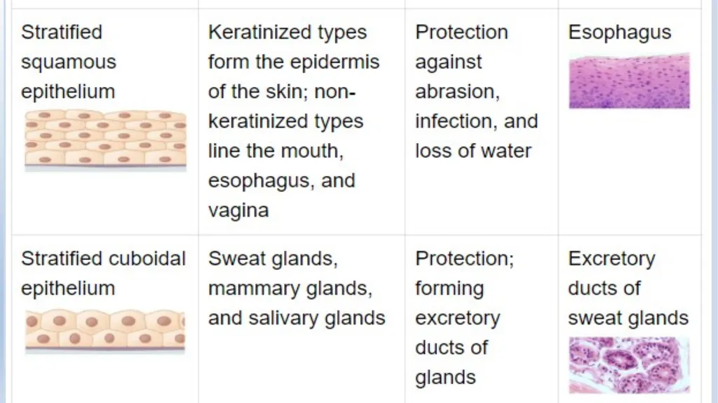 Lecturer name: Dr. Jibril H. Yusuf - slide 29 of 32