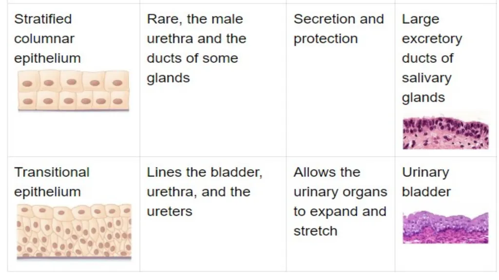 Lecturer name: Dr. Jibril H. Yusuf - slide 30 of 32