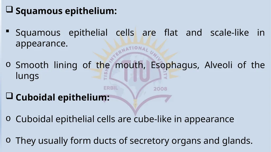 Lecturer name: Dr. Jibril H. Yusuf - slide 5 of 32