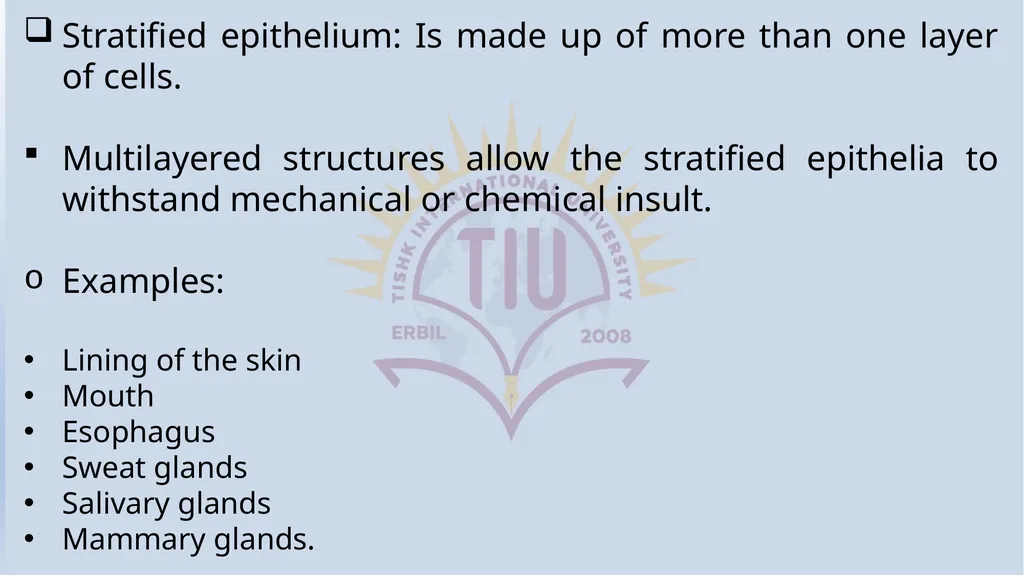 Lecturer name: Dr. Jibril H. Yusuf - slide 9 of 32