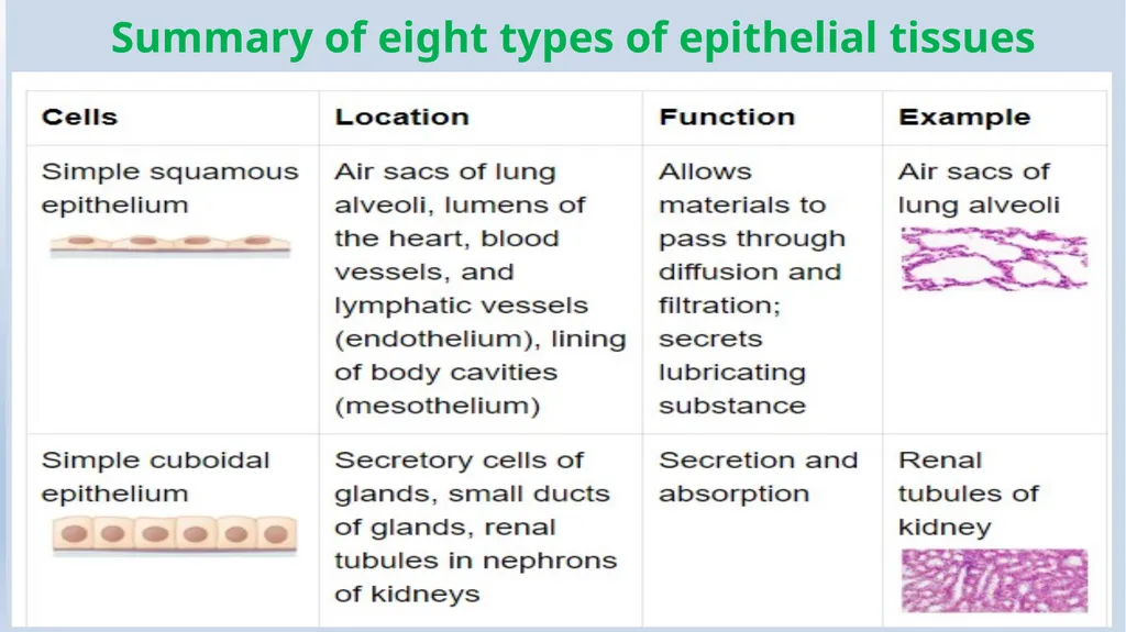 Lecturer name: Dr. Jibril H. Yusuf - slide 27 of 32