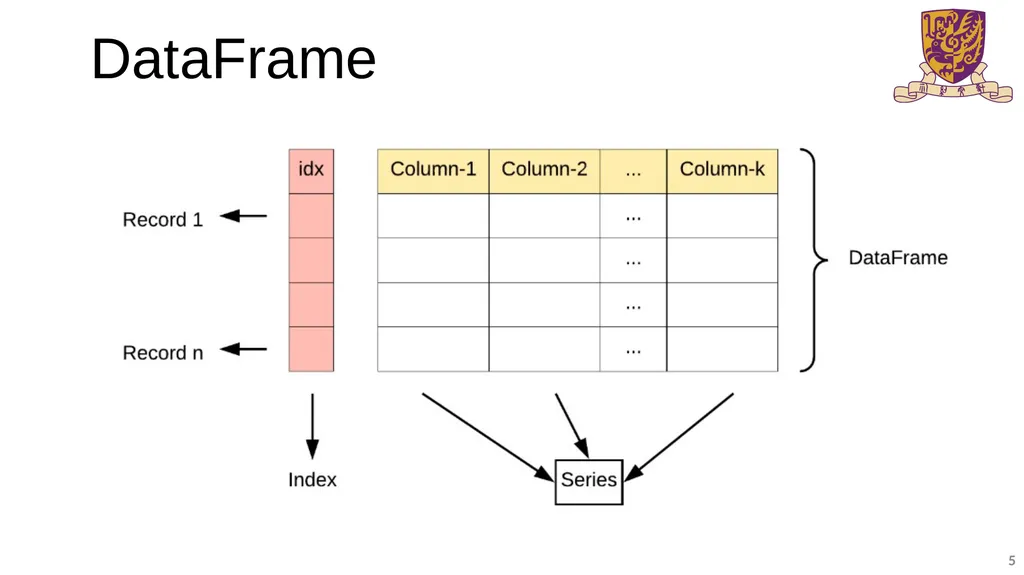 BMEG3105-Introduction to Pandas and NumPy Qinze YU - slide 5 of 16
