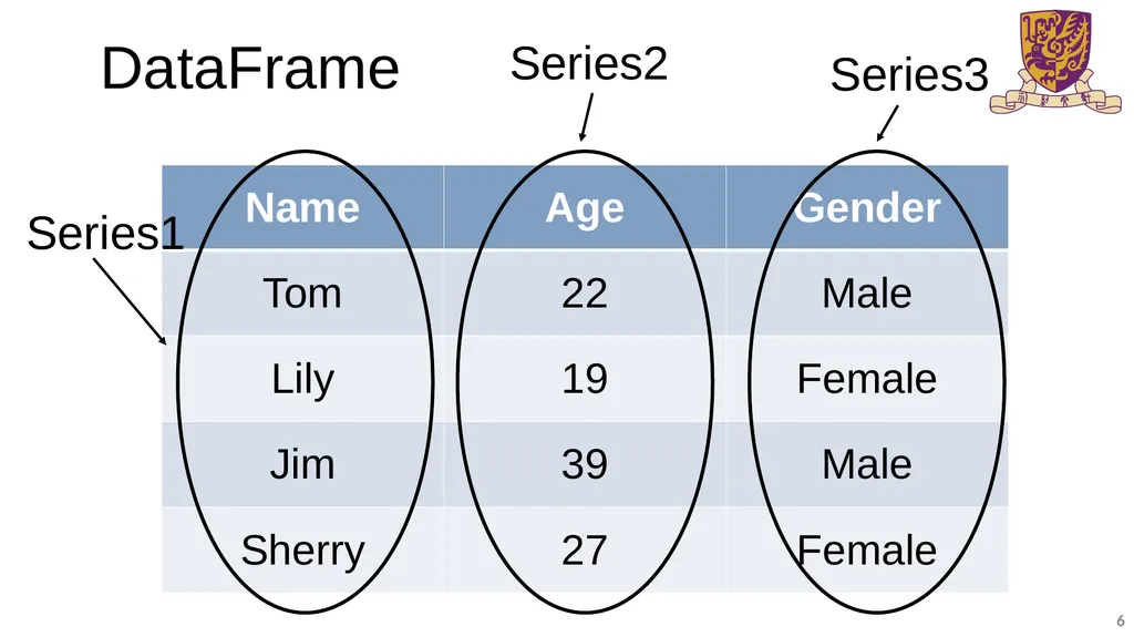 BMEG3105-Introduction to Pandas and NumPy Qinze YU - slide 6 of 16