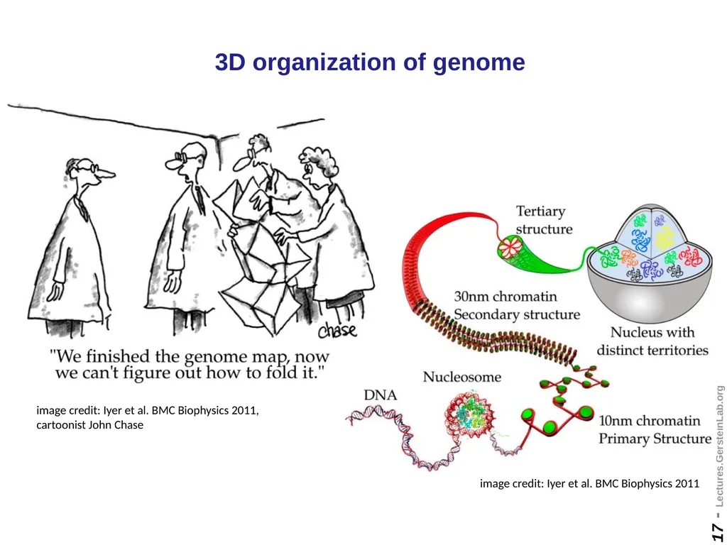 Mark Gerstein Yale U. Biomedical Data Science - slide 17 of 21