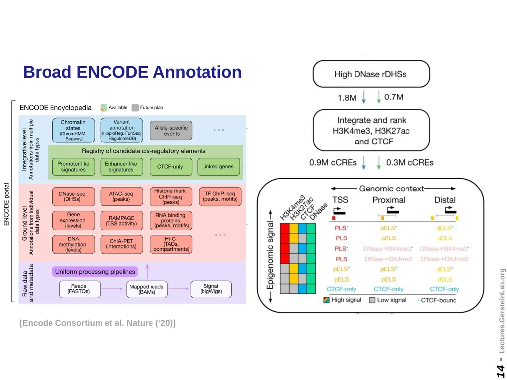 Mark Gerstein Yale U. Biomedical Data Science - slide 14 of 21