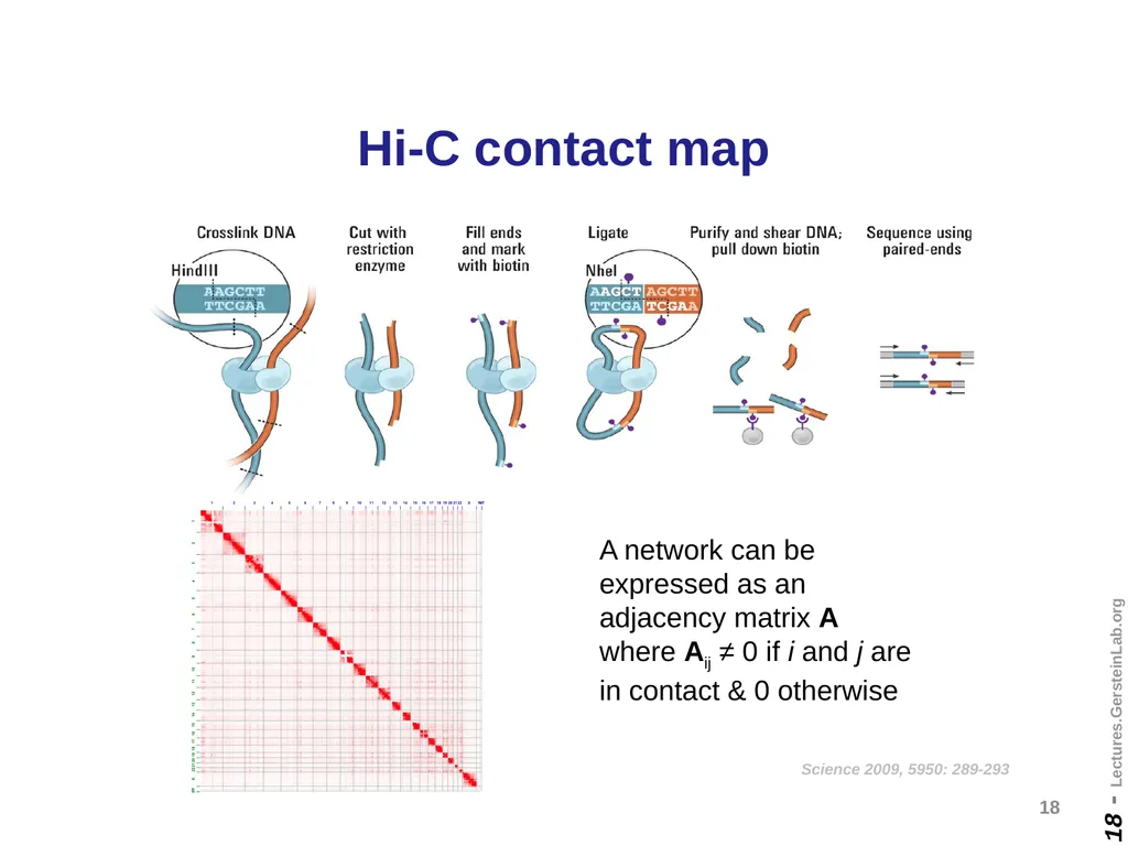 Mark Gerstein Yale U. Biomedical Data Science - slide 18 of 21