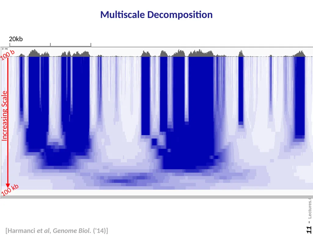 Mark Gerstein Yale U. Biomedical Data Science - slide 11 of 21