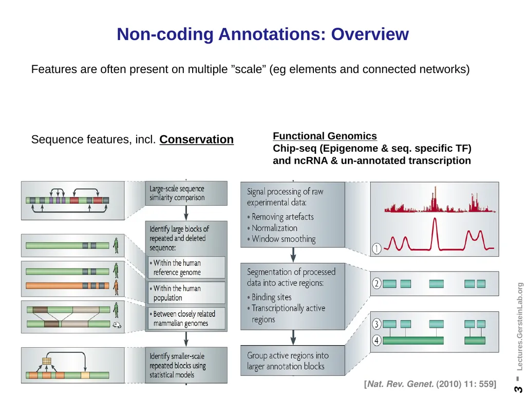 Mark Gerstein Yale U. Biomedical Data Science - slide 3 of 21