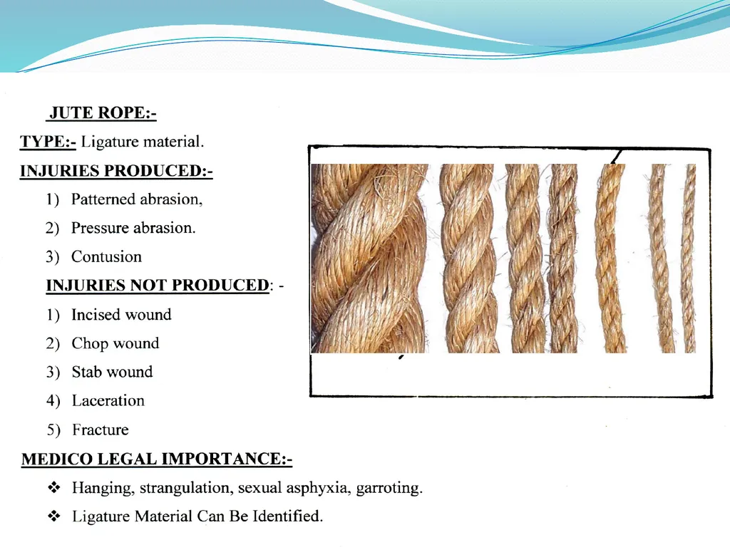 Examination of Weapons By Dr. Waheed Trishool - slide 10 of 22