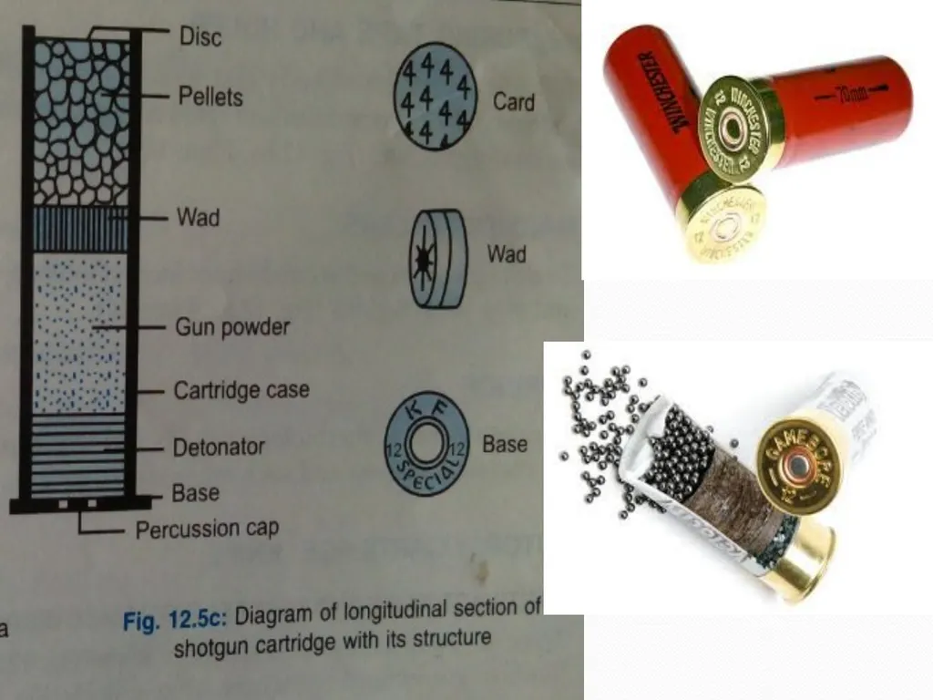 Examination of Weapons By Dr. Waheed Trishool - slide 14 of 22