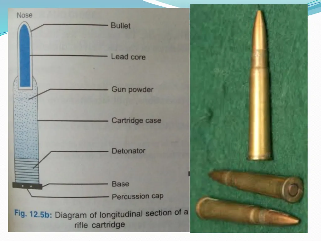 Examination of Weapons By Dr. Waheed Trishool - slide 17 of 22