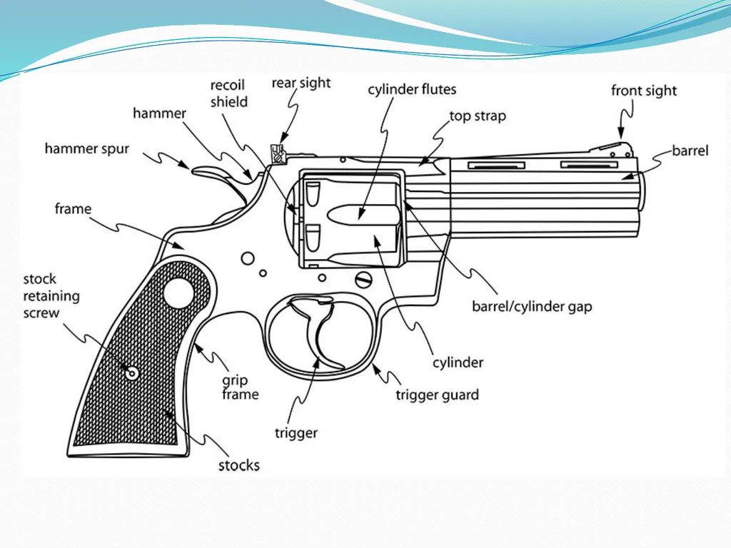 Examination of Weapons By Dr. Waheed Trishool - slide 21 of 22