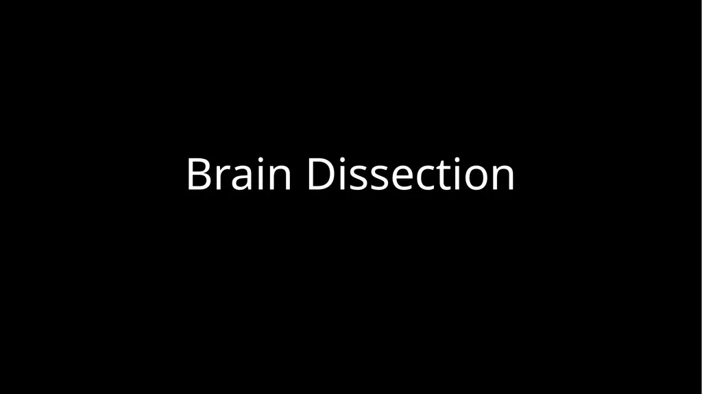 Brain Dissection Cerebrum: conscious thought & - slide 1 of 15
