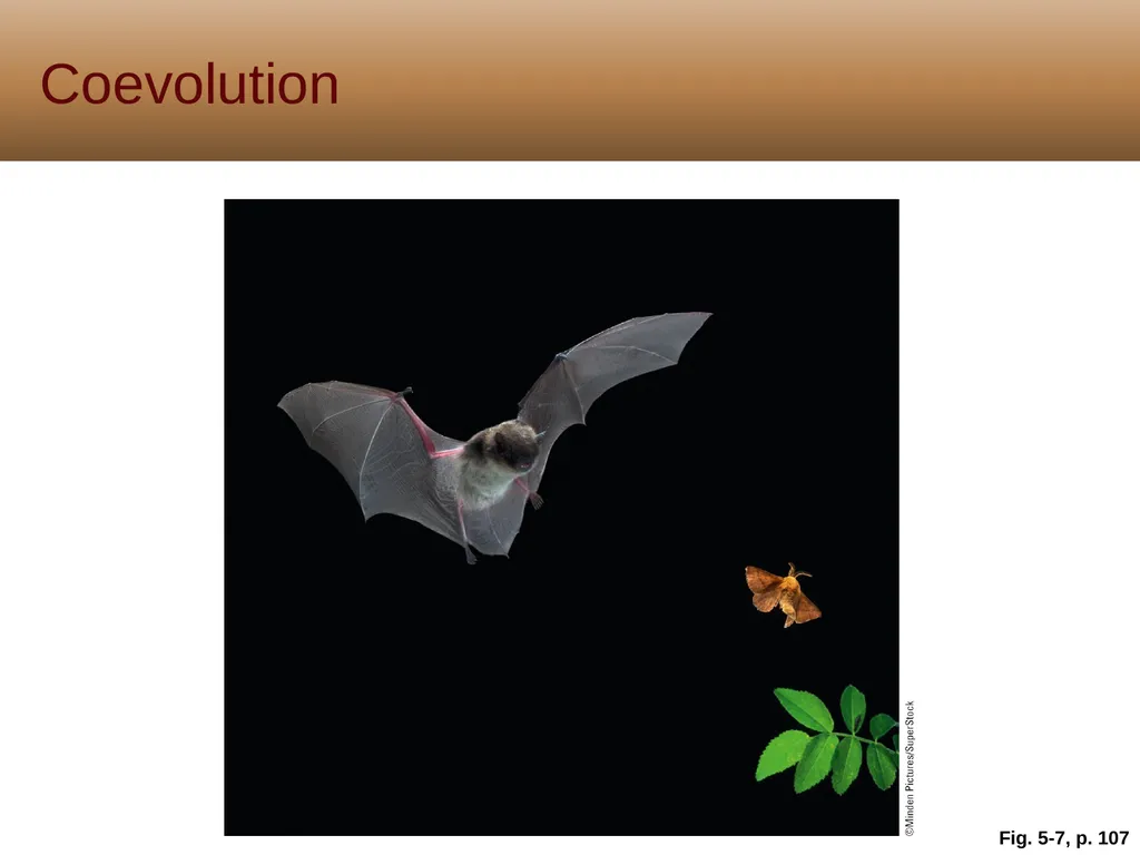 5 Biodiversity, Species Interactions, and - slide 14 of 44