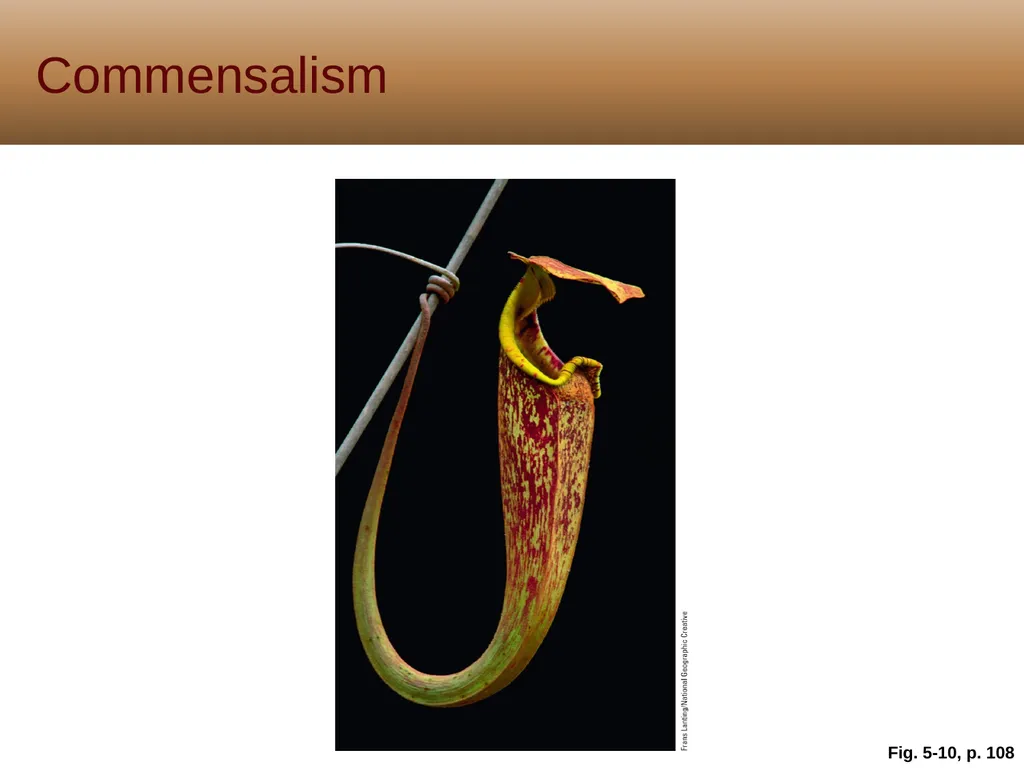 5 Biodiversity, Species Interactions, and - slide 20 of 44
