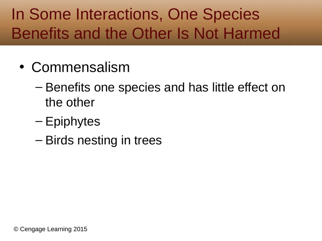 5 Biodiversity, Species Interactions, and - slide 19 of 44