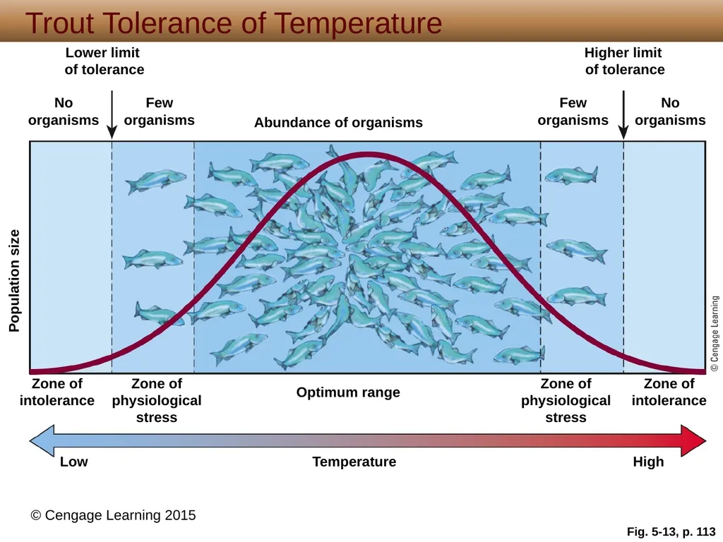5 Biodiversity, Species Interactions, and - slide 33 of 44