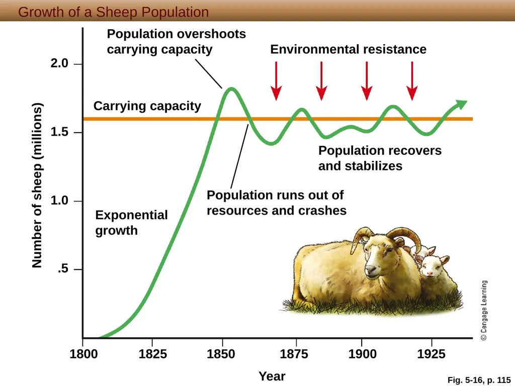 5 Biodiversity, Species Interactions, and - slide 37 of 44