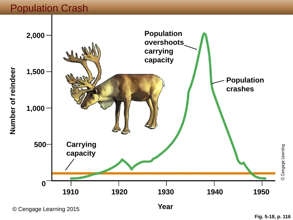 5 Biodiversity, Species Interactions, and - slide 41 of 44