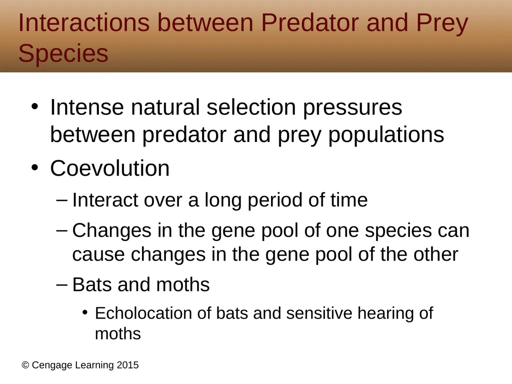 5 Biodiversity, Species Interactions, and - slide 13 of 44