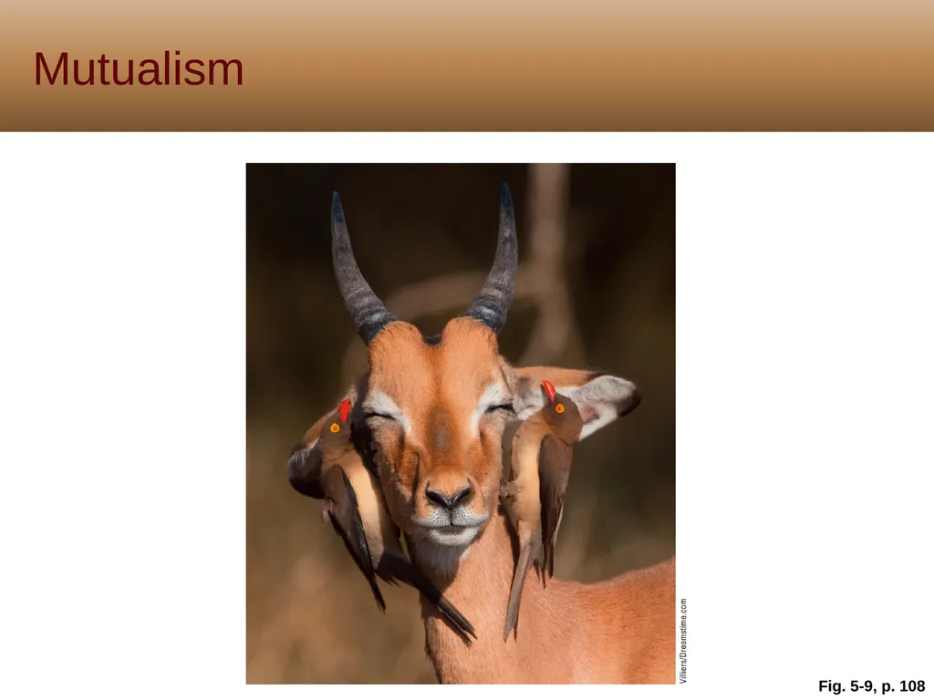 5 Biodiversity, Species Interactions, and - slide 18 of 44