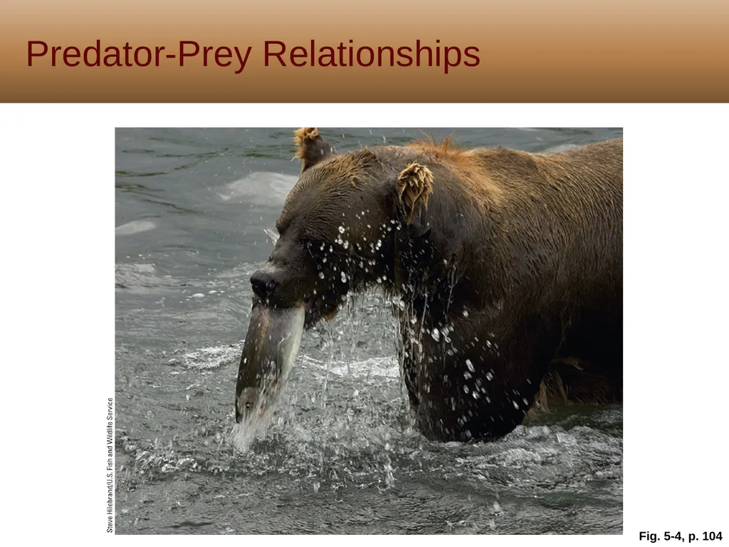 5 Biodiversity, Species Interactions, and - slide 11 of 44