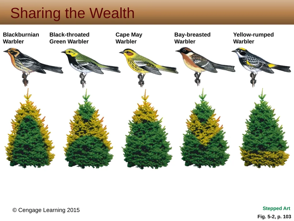 5 Biodiversity, Species Interactions, and - slide 7 of 44
