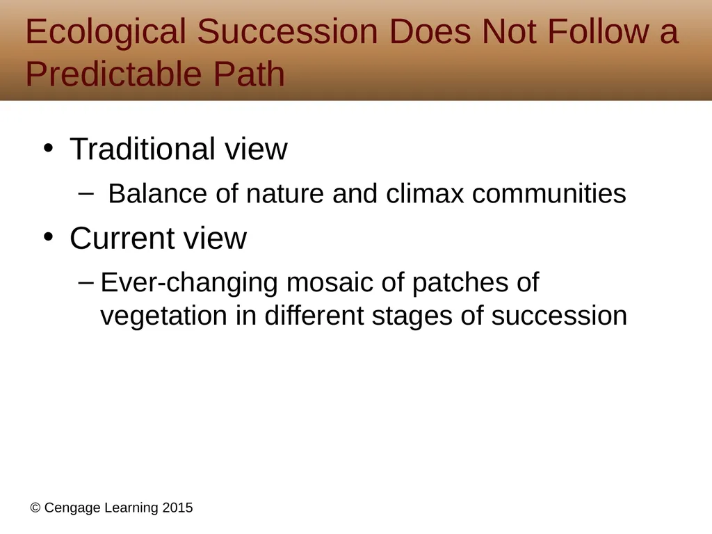 5 Biodiversity, Species Interactions, and - slide 25 of 44
