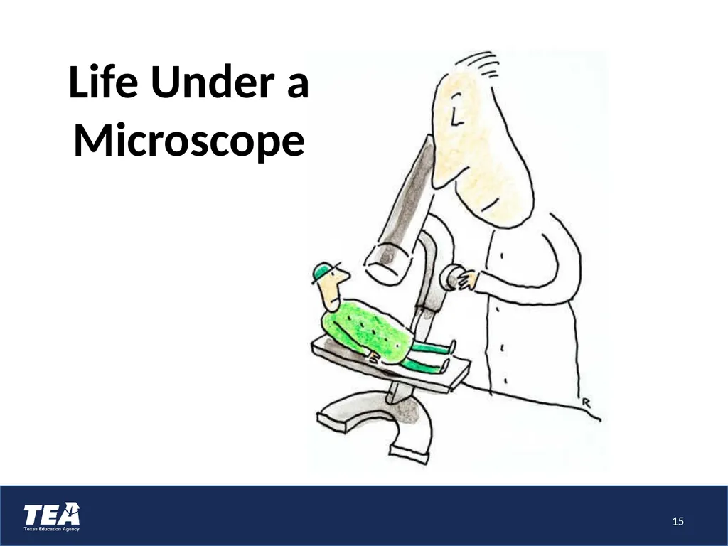 Understand the influence teachers can have on - slide 15 of 45
