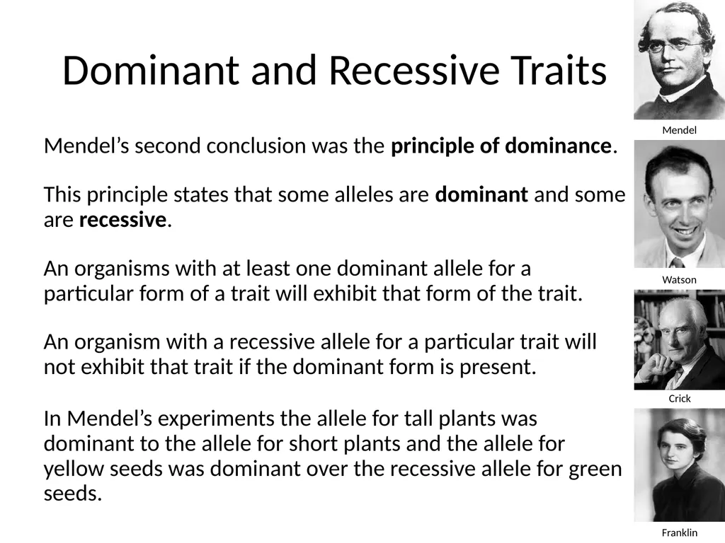 Introduction to Genetics Chapter 11.1 Heredity and - slide 14 of 20