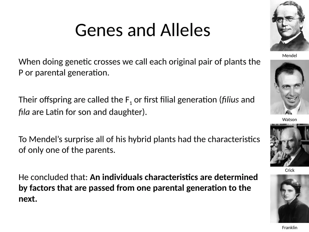 Introduction to Genetics Chapter 11.1 Heredity and - slide 12 of 20