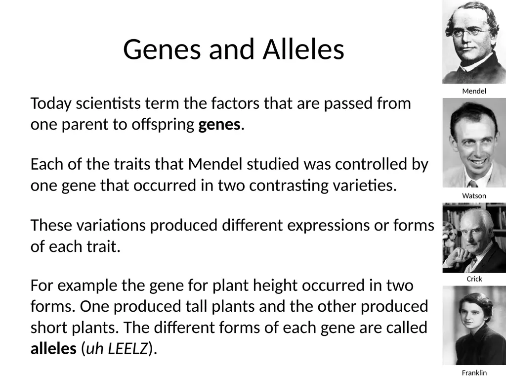 Introduction to Genetics Chapter 11.1 Heredity and - slide 13 of 20