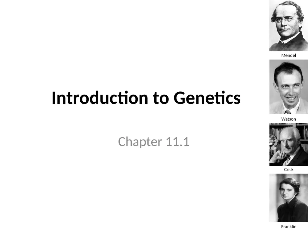 Introduction to Genetics Chapter 11.1 Heredity and - slide 1 of 20