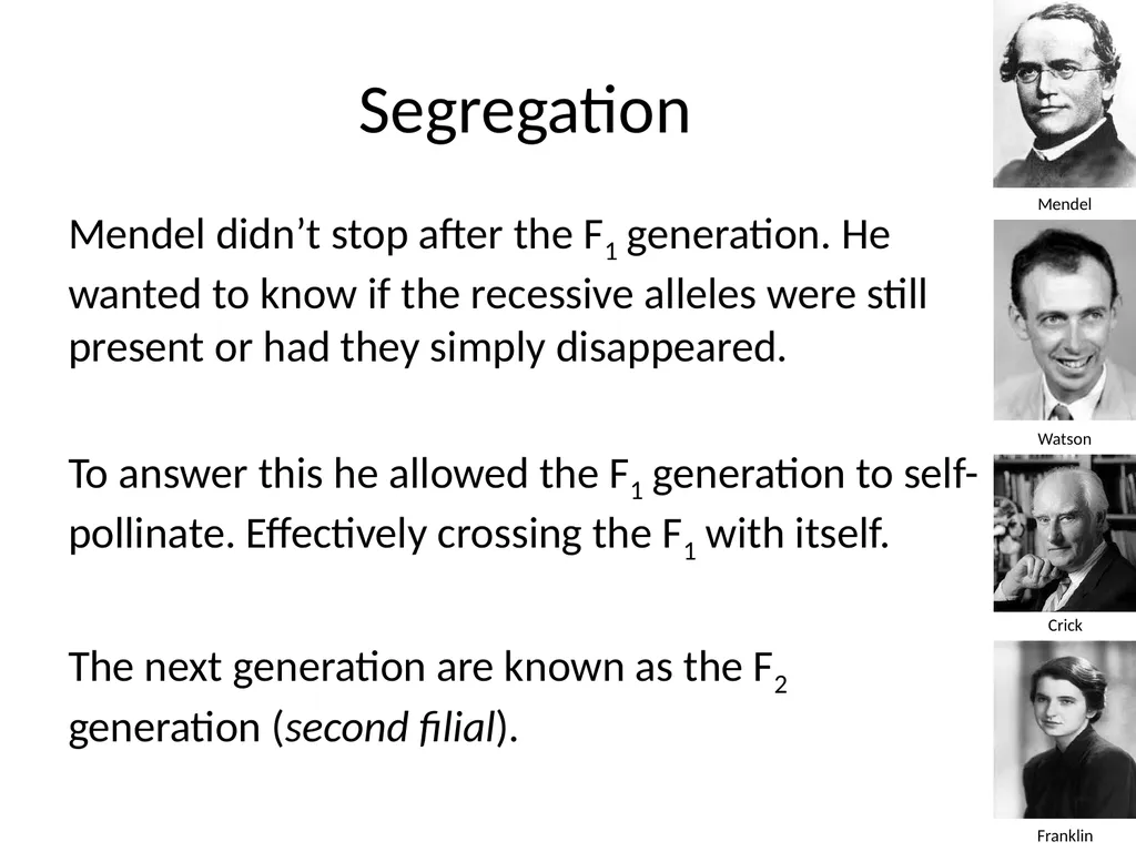 Introduction to Genetics Chapter 11.1 Heredity and - slide 15 of 20