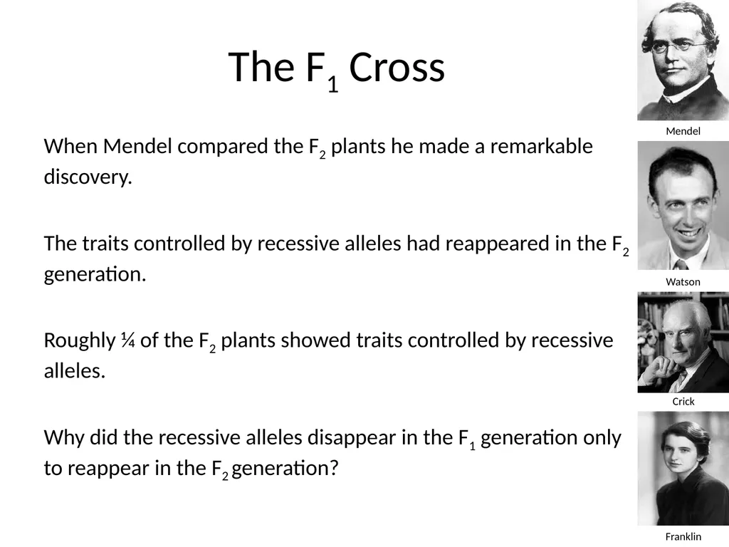 Introduction to Genetics Chapter 11.1 Heredity and - slide 16 of 20