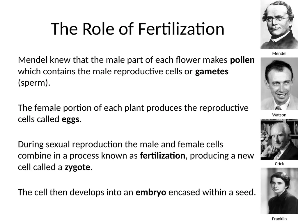 Introduction to Genetics Chapter 11.1 Heredity and - slide 6 of 20