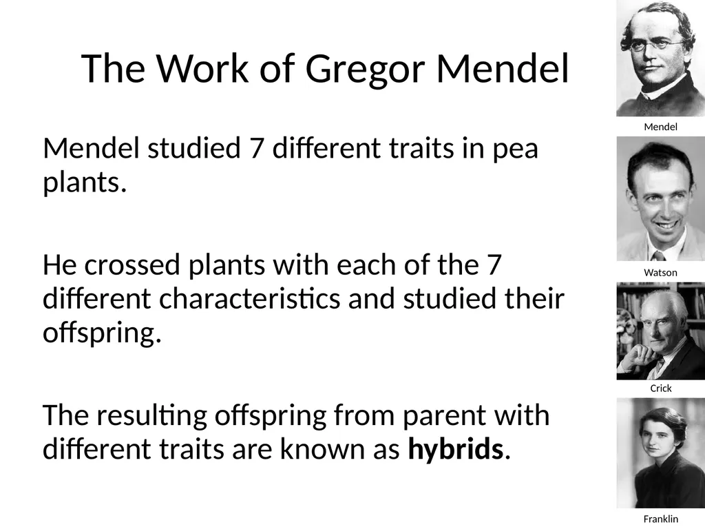 Introduction to Genetics Chapter 11.1 Heredity and - slide 10 of 20