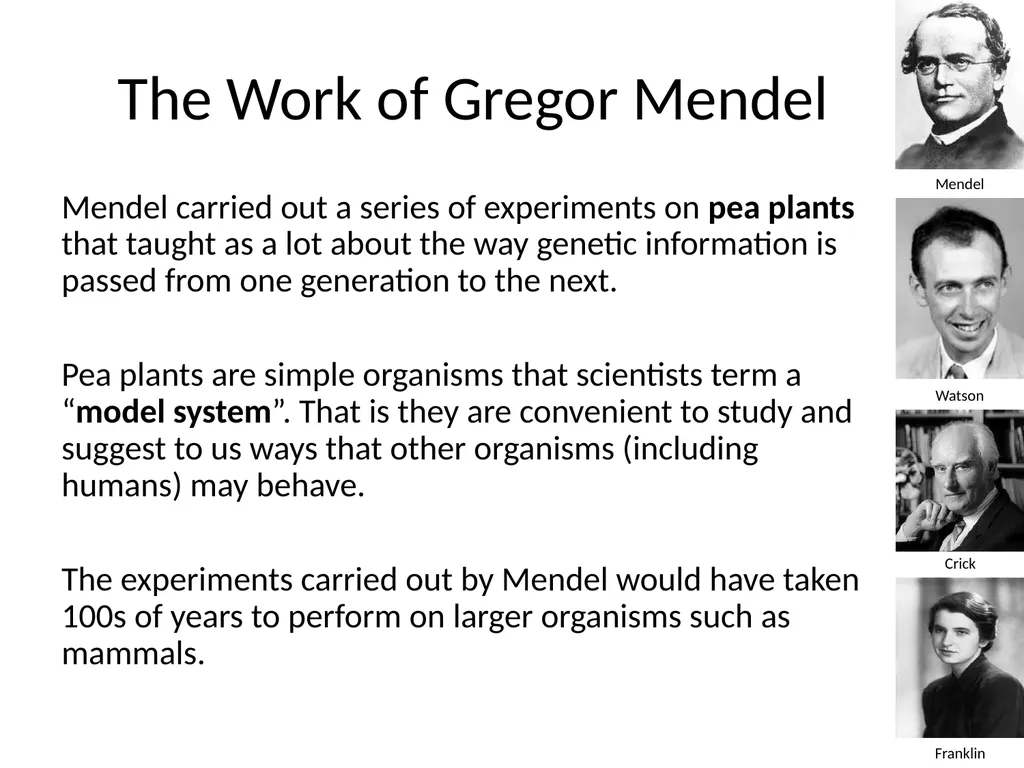 Introduction to Genetics Chapter 11.1 Heredity and - slide 5 of 20