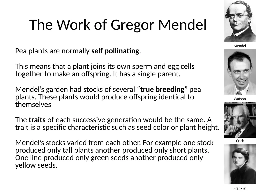Introduction to Genetics Chapter 11.1 Heredity and - slide 8 of 20